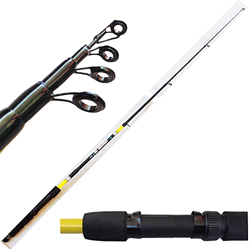 Canna Pesca Spinning Telescopica Mare Lago Trota