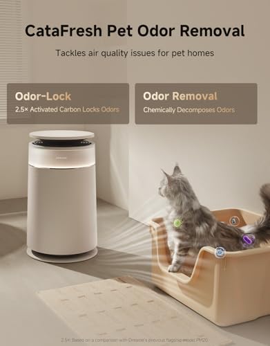 Air Purifier FP10