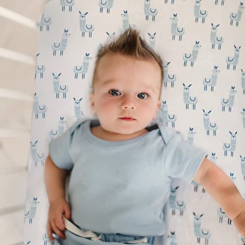 Pickle & Pumpkin Premium Organic Crib Sheet | 100% Organic Jersey Cotton Fitted Crib Sheets | Crib Bedding for Baby Boy or Girl | Toddler or Standard Crib Mattress Sheets | Llama