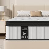 Queen Hybrid Mattress 10 Inch in a Box, Cooling Gel...