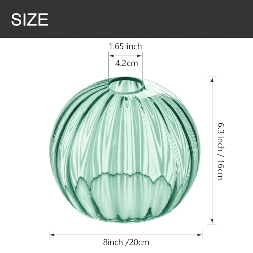 Image of Clear Glass Shade,Replacement Globe & Cover for Lighting Fixture, 8 inch Diameter, Replacement with 1.65 Inch Fitter for Wall Lamps Chandeliers or Ceiling Light (2, 8Inch - Green Glass)