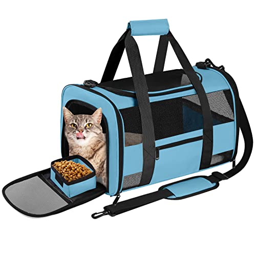 Best Cat Carrier For Scared Cat 2023 Vet Ranch We Love Pets