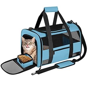 Cat Carrier Dog Carrier, Pet Carrier Airline Approved for Small Dogs Medium Cats Puppies Under 15 Lbs, Collapsible Dog Travel Carriers with Reflective Strip for Puppy and Kitten-Black