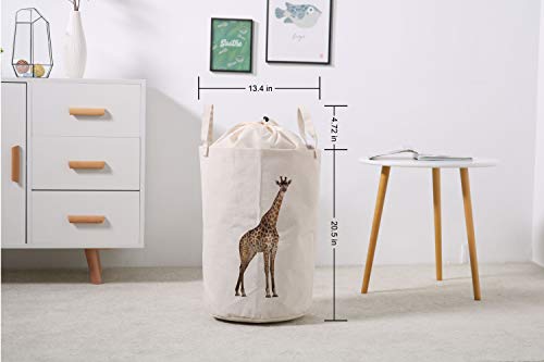 Movado Stainless Steel Case (Model: 3640002) #TOP1