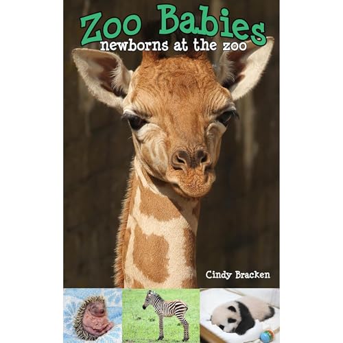 Zoo Babies - Newborns At The Zoo by Cindy Bracken episode artwork