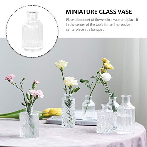 SOIMISS 1Pc Vaso de flores de vidro Recipiente de flores secas Recipiente de flores de vidro para ca