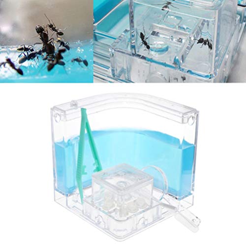 Ant Farm Castle with Tubes, Habitat Educational & Learning Science Kit Toy for Kids – Permit Study of Ecosystem, Behavior of Ants Within The 3D Maze of Translucent Gelant-