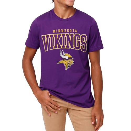 FOCO Minnesota Vikings NFL Mens Classic Arched Logo T-Shirt - Team Purple - L