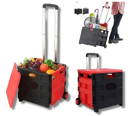 Carrinho de Feira QB Maleta