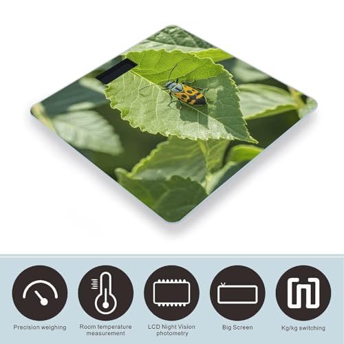 Báscula digital de baño con diseño insectos en hojas miniatura 3