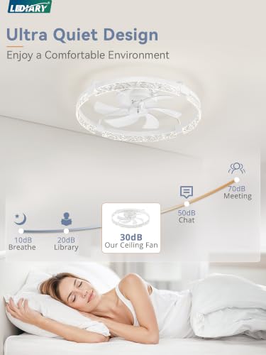 Image of LEDIARY 26 Inch Ceiling Fans with Lights White
