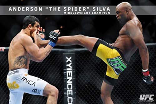 Pyramid America UFC-Anderson Silva Standard Poster Print, 24 by 36-Inch