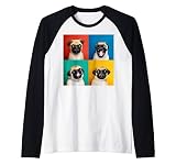 Photos de portrait de chiot carlin Carlino pour les amoureux Manche Raglan