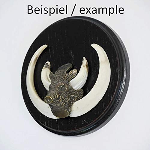 GTK - Geweihe & Trophäen KRUMHOLZ Keilerschild Keilerbrett Gewaffbrett Trophäenschild rund dunkel AF 13 cm mit kleinen Keiler Kopf Verzierung