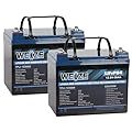 WEIZE 12V 36Ah LiFePO4 Lithium Battery, Built in BMS Group U1 Deep Cycle Low Temperature Protection Rechargeable Battery, 2000+ Life Cycles, Perfect for Marine, Kids Scooters, Power Wheels (2 Packs)