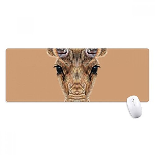 F̖쐶̃TC mXbvSpbh̃Q[}EXpbhv[g