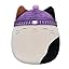 Cam Calico Cat With Purple Hat