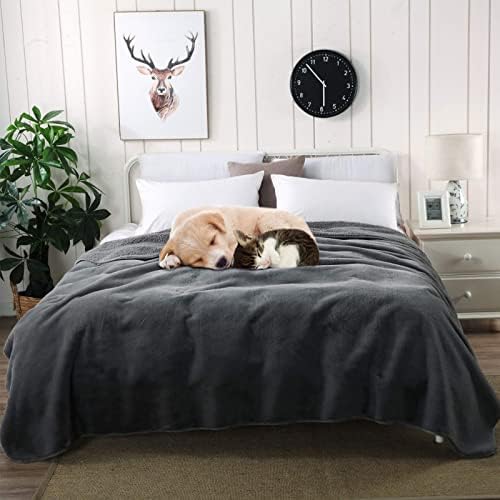Waterproof Dog Blanket Washable Large - 100 * 145cm Soft Warm Fleece Pet Mat for Sofa Bed Car - Personalised Extra large Machine-Wash Calming Dog throw Cushion for Furniture Protect (Grey)