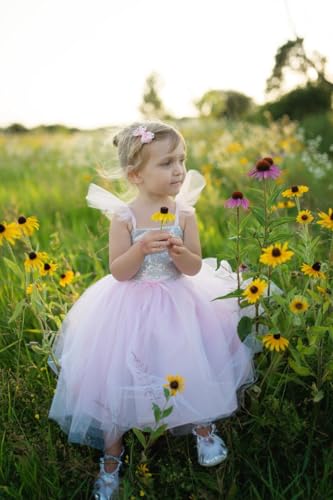 Creative Education Silver Sequins Princess Dress (XS(3/4))3