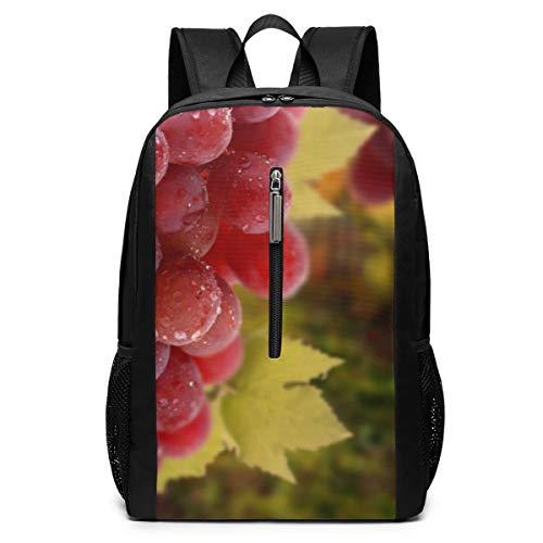 Preisvergleich Produktbild Laptop-Rucksack, Motiv: Weinrebe, Blätter, Strauß, Obst, Weinberg, Business, Laptoprucksack, widerstandsfähige Tasche, Tagesrucksack, passend für 17-Zoll-Computer und Notebooks, lässiger Tagesrucksack