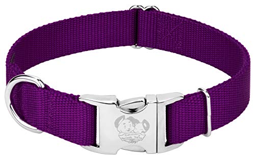 Country Brook Petz - Premium Nylon Dog Collar with Metal Buckle - Vibrant 24 Color Selection (Large, 1 Inch Wide, Purple)