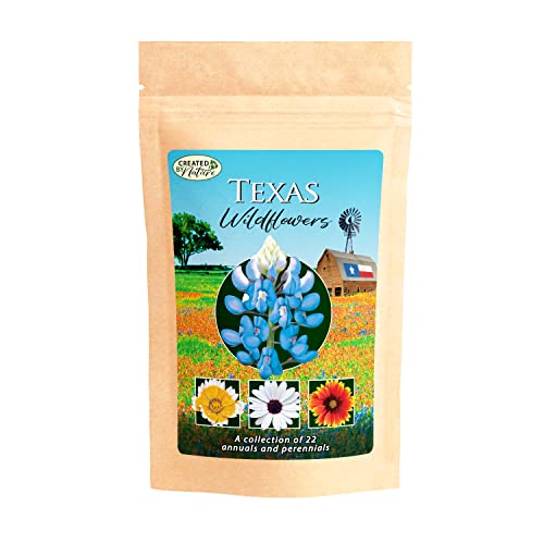 Texas Wildflower Bulk Seed Mix - Over 60,000 Premium Seeds - 22 Varieties #TOP2