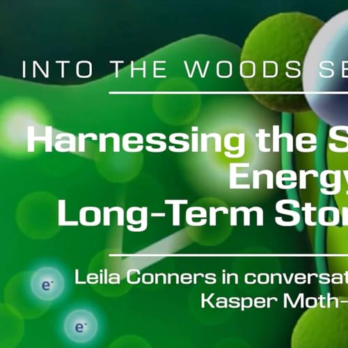 Kasper Moth-Poulsen on Harnessing the Sun and a 20-Year Battery