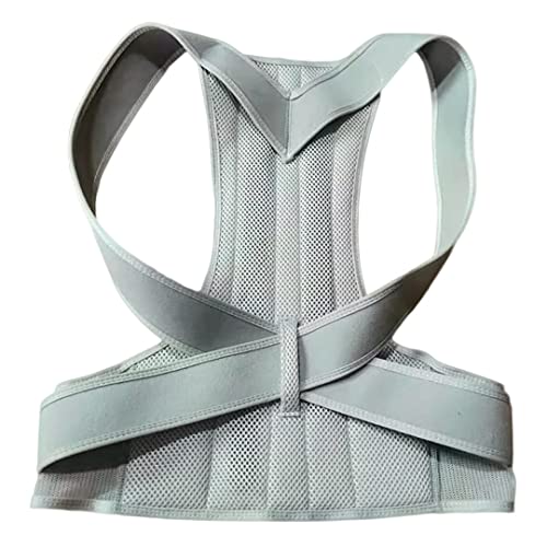 Lwxg w؋xg g pxg j  lp qp Lw  \h ␳ P w ObY M