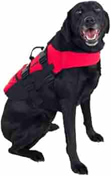 ecogear dog life jacket