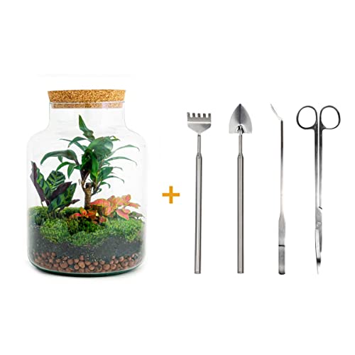 Foto von Flaschengarten • Milky Palm • Pflanzen im Glas • ↑ 30 cm - DIY - Terrarium Komplett Set - Pflanzenterrarium - urbanjngl | Terrarium kit