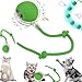 Hund und günstig Kaufen-Pipihome Interaktives Katzenspielzeug Elektrisch, Chewie Viral Rollball mit Schwanz für Katzen, Intelligentes Katzenspielzeug 360° Automatisch Power Spielball für Katzen Hunde