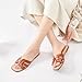 Ataiwee Women's Flat Slide Sandals - Fashion Casual Dressy Cute Easy on Flat Summer Shoes.(2307018,LB/MF,8W)