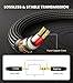 tisino 1/8 to 1/4 Stereo Cable, 3.5mm to 1/4 Adapter Aux Cord Stereo Audio Cable for Guitar, Keyboard Piano, Laptop, Home Theater Devices, Speaker and Amplifiers,Nylon Braid-3ft