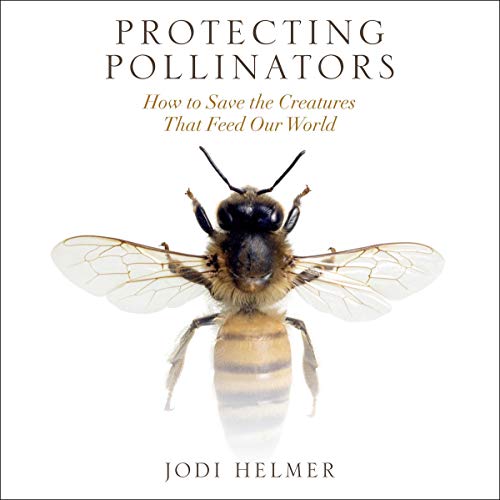 Protecting Pollinators by Jodi Helmer episode artwork