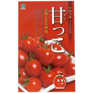 ミニトマト 種 【 ミニトマト甘っこ 】 種子 小袋 約10粒