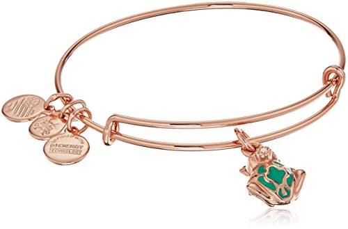 Alex and Ani Frog Prince Charm Bracelet