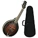 Gold Tone A-6 Mando Guitar w/Case