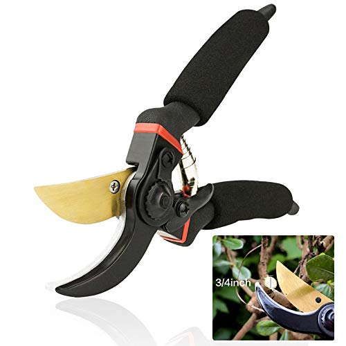 Professional Heavy Duty Garden Bypass Pruning Shears, Tree Trimmers & Rose Pruning Secateurs, Hand Pruner, Shock-Absorbent Spring & Safety Lock?3/4