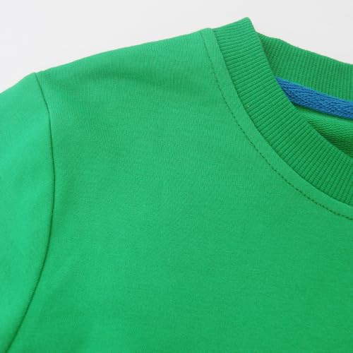 Toddler Boys Sweatshirts Patterned Pullover Crewneck Long Sleeve Cotton Animals Tops Shirts… White4