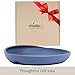 Adult Size Silicone Scooper Plate Suction Base by Modaliv - Food Grade Silicone Suction Plates for Adults - Dishwasher and Microwave Safe & Quality Adaptive Equipment - Gift for Women and Men (Blue)