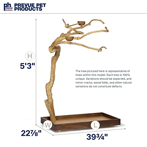 Coffeawood Tree Style # 2 (Large)