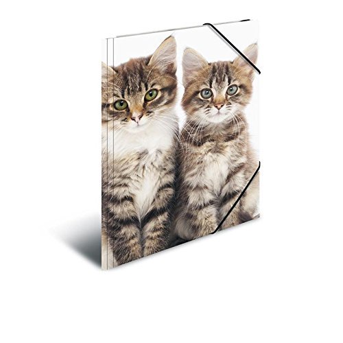 Herma 7143 Eckspannermappe Katzen, aus PP, DIN A3, 5 Stück