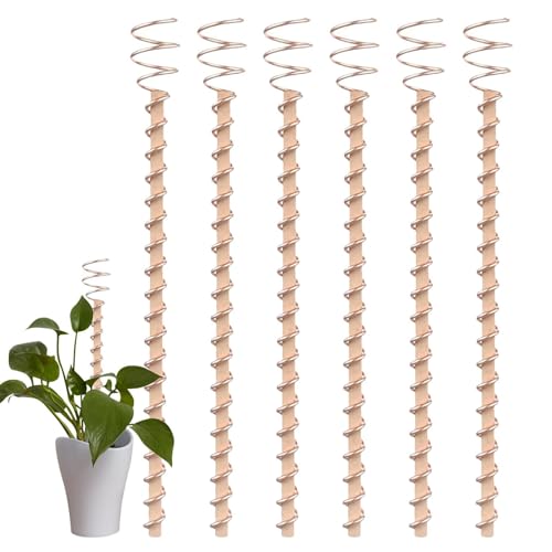 Rame da giardinaggio elettro - antenne da 6 pezzi per il giardino in coltivazione - lunghe 12 pollici per il in crescita avvolte con legno naturale