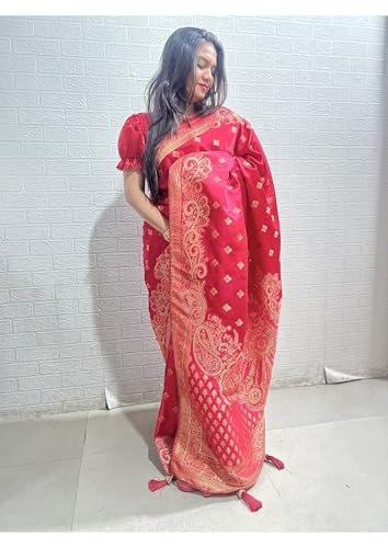 Image of Women's Banarasi Silk Georgette Saree Featuring Silver Sequin And Mirror Work