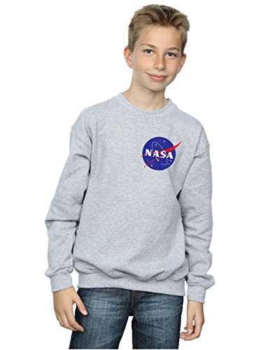 Nasa Boys Classic Insignia Chest Logo Sweatshirt 5-6 Years Sport Grey