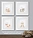 Confetti Fox Woodland Baby Animals, Nursery Decor, Kids Forest Fox Bear, Boy Gender Neutral Baby Toddler Wall Art (8x10 Unframed Set of 4 Prints)