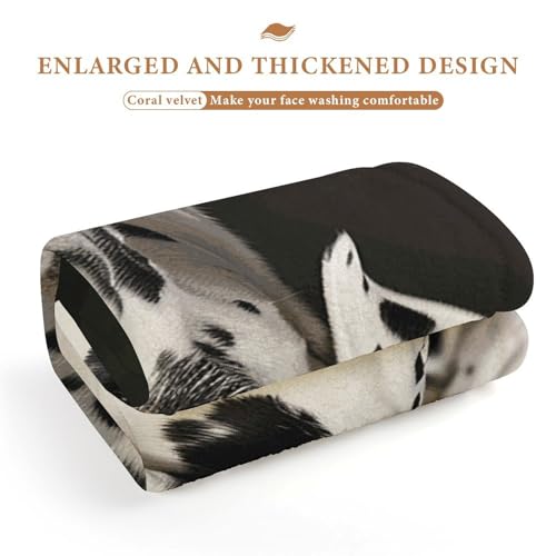 Serviette de bain pour chien dalmatien super douce absorbante et séchage rapide