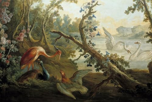 Affiche toile Cygnes et paons de François Boucher pour décoration murale grand format 60x90cm