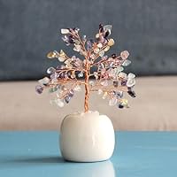 Amazon.co.jp: [dhiuebc] 黄金木 置き物 招財樹 金のなる木 金の成る木