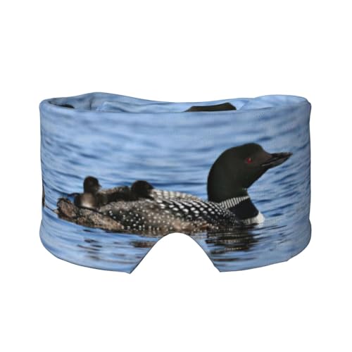 Loon Birds vg X[v}XN jp \tgACJo[ h  C[}t wbhoh s Q